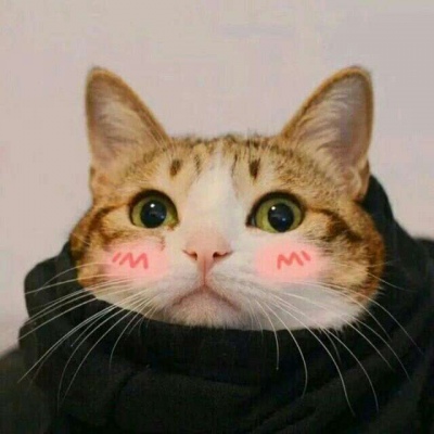 林透/可爱猫咪情侣头像/连疼你的人也没有 你有什么资格去委屈