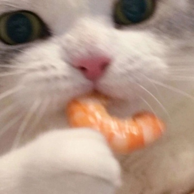 搞笑动物情侣头像? 我爱食物，食物爱脂肪，脂肪爱我