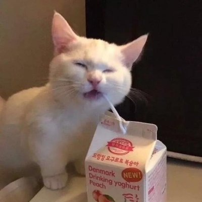 猫咪的情头