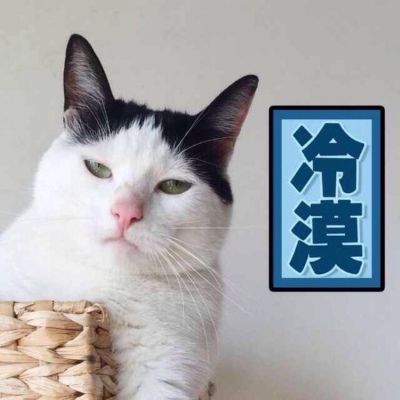 猫咪的情头