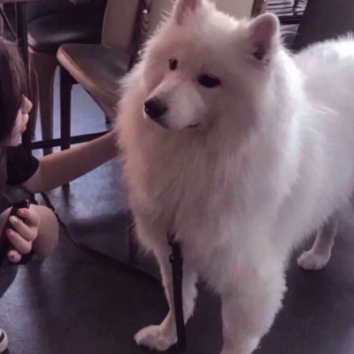 沈曦：可爱一对两张对象不是人系列情头
