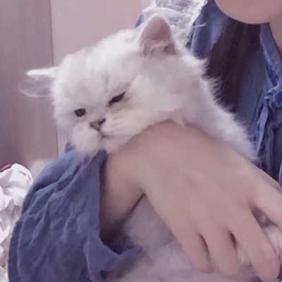沈曦：可爱一对两张对象不是人系列情头