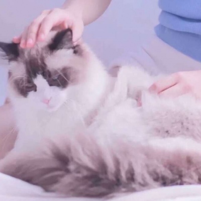 沈曦：可爱一对两张对象不是人系列情头