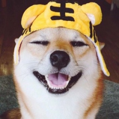沈曦：可爱一对两张猫咪狗狗情头 长安归故里我归你.