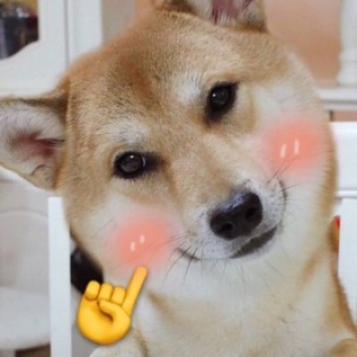 沈曦：可爱一对两张猫咪狗狗情头 长安归故里我归你.