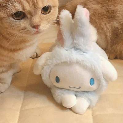 沈倦/可爱猫咪头像