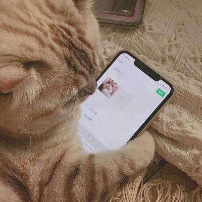 沈倦/可爱猫咪头像