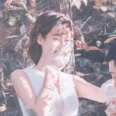 鹤辞.