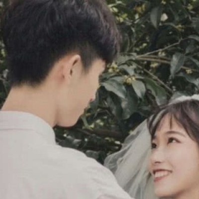 鹤辞.