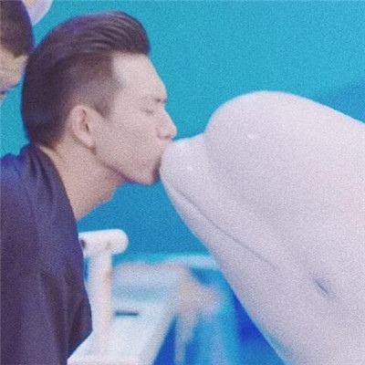 念湘./童颜夫妇情头