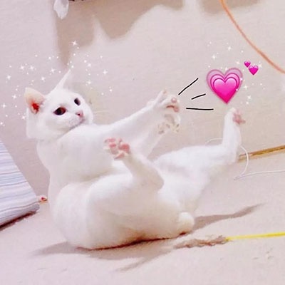 七七～搞怪情头…