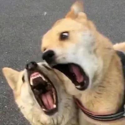 七七～搞怪情头…