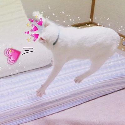 七七～搞怪情头…