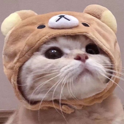 可爱的小猫情侣头像#你知道我为什么单身那么久吗？因为一直没有遇见你。