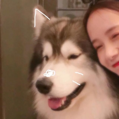 emmm,身为单身狗的我好像这些头像没啥用