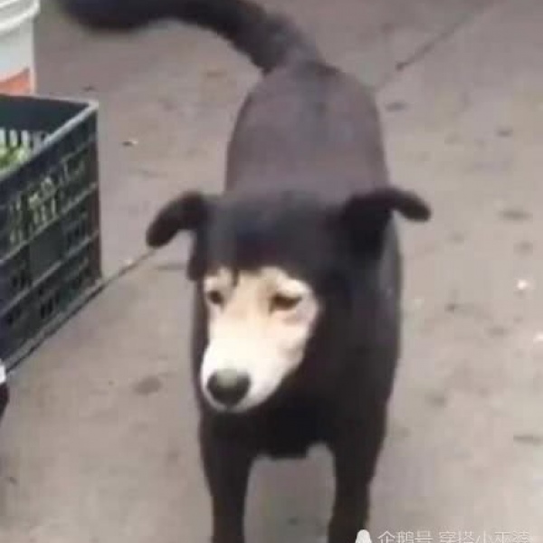 酒仙♀?沙雕情头/对你都是满满的爱吖?