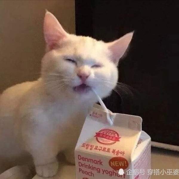 酒仙♀?沙雕情头/对你都是满满的爱吖?