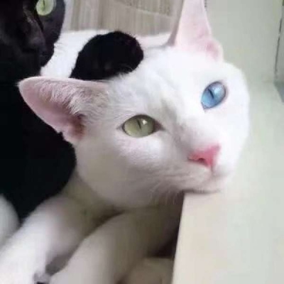 君子于役不问归期?等你平安归来