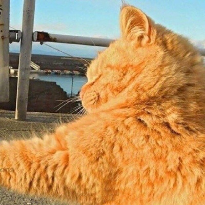 甜词  搞笑的沙雕情头