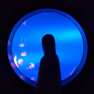 溺毙:一对两张剪影潮流风真人情头.晚风踩着云朵 月亮贩售快乐.