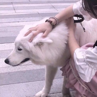 柠檬宝贝:情头/望喜哦!