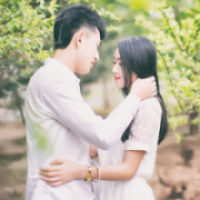 图很好 只是没人气