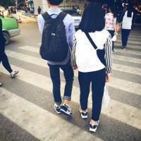 标题被狗叼走了