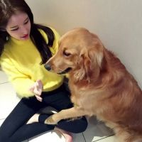 我爱就好i