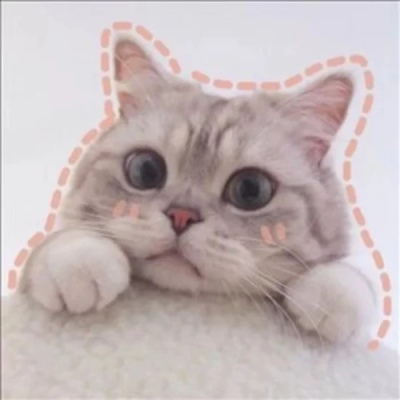 千鹤/猫咪情头/眉眼所致，皆是山河