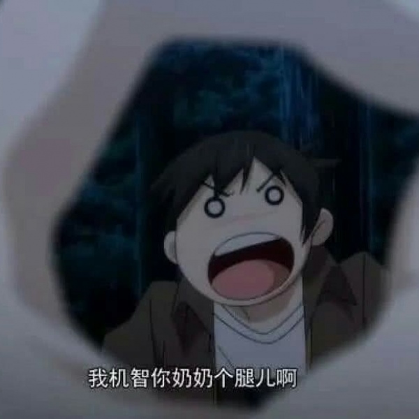 杂情头鸭