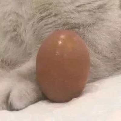 搞笑情头当原则遇见心动就破例