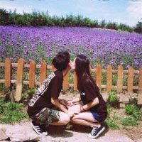 似如随行