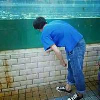 最后两张。相信是情侣都希望的吧。