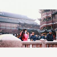 喜欢你眉头轻皱始终清秀。