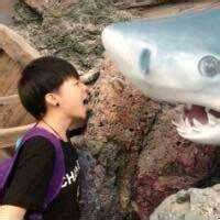我却动了心