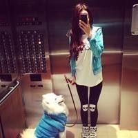 我会发光