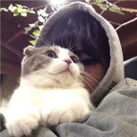 说爱。
