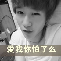 爱无需挽留