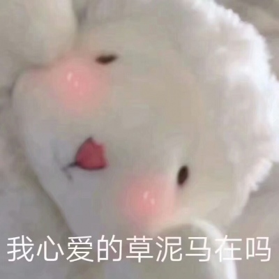 可可爱爱没有脑袋  可爱小羊头像  愿喜