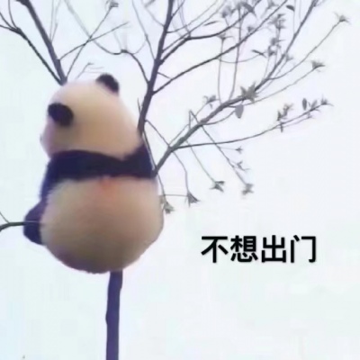 不想学校，只想睡觉/表情包