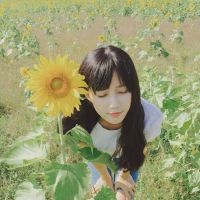 我愿你是个谎