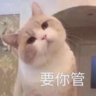 林一笑 可爱小动物表情包鸭