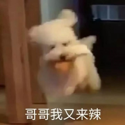 林一笑 可爱小动物表情包鸭