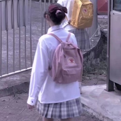 秦淮声-------神仙闺头