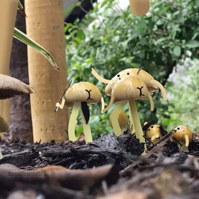 可爱图片自取呢