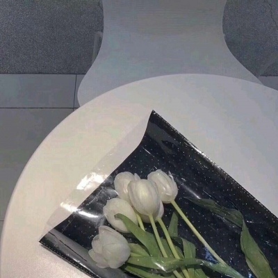 背景图/花开若相惜 花落莫相离.