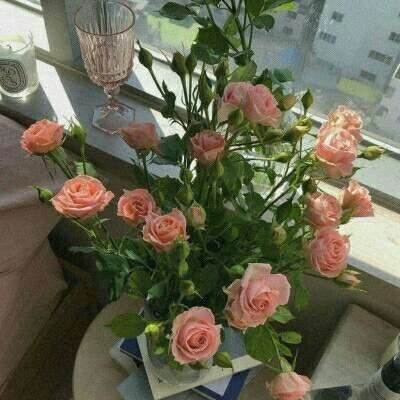背景图/花开若相惜 花落莫相离.