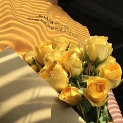 背景图/花开若相惜 花落莫相离.