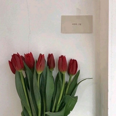 背景图/花开若相惜 花落莫相离.