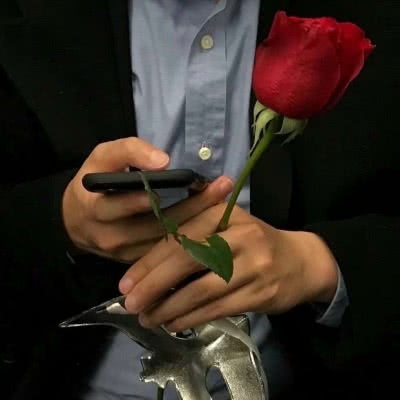 玫瑰背景图 若是你心怀旧梦，就别再无疾而终
